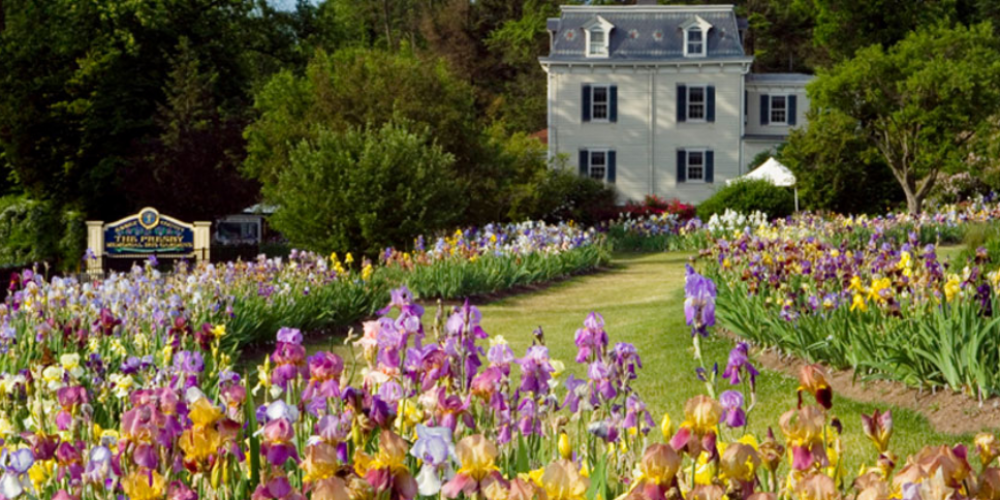 Presby Memorial Iris Gardens Hosts ‘Gardens Aglow’ Jack-o-lantern Lighting October 26